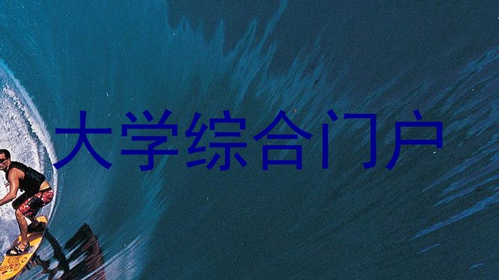 大学综合门户