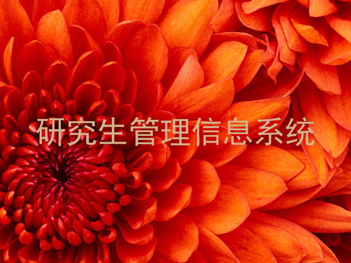 研究生管理信息系统