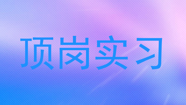 顶岗实习