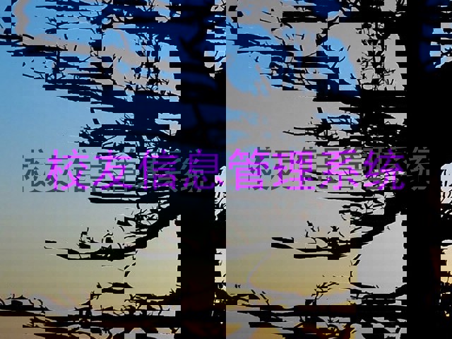 校友信息管理系统
