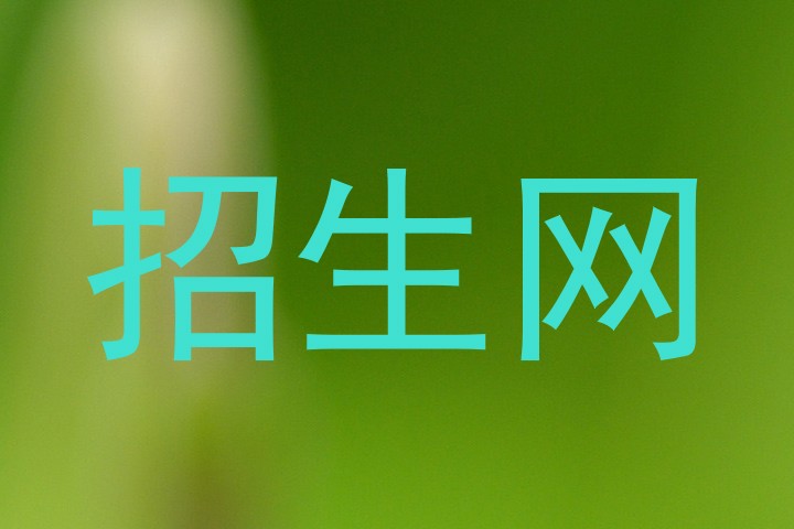 招生网
