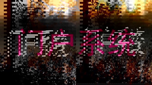 门户系统