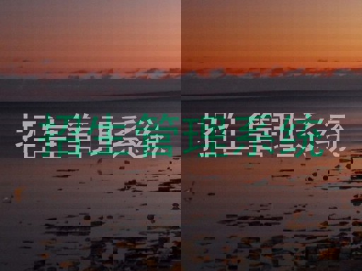 招生管理系统