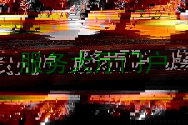 服务大厅门户