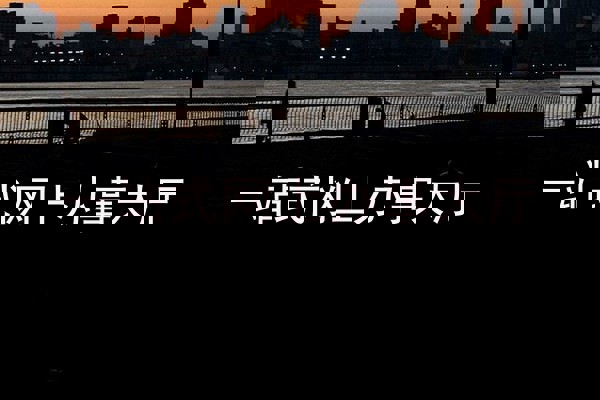 一站式网上办事大厅
