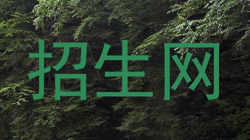招生网