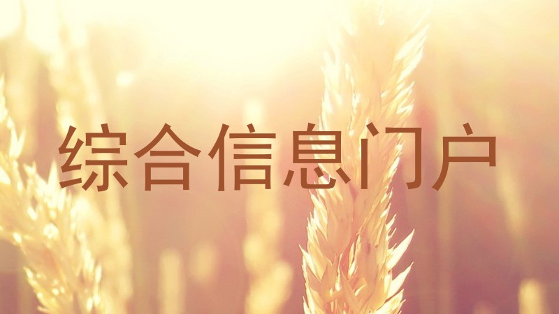 综合信息门户