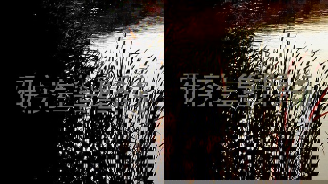 研究生管理系统