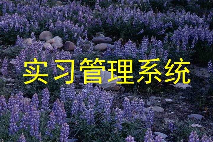 实习管理系统