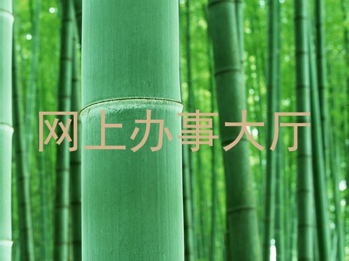 网上办事大厅