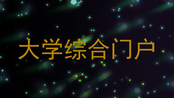 大学综合门户