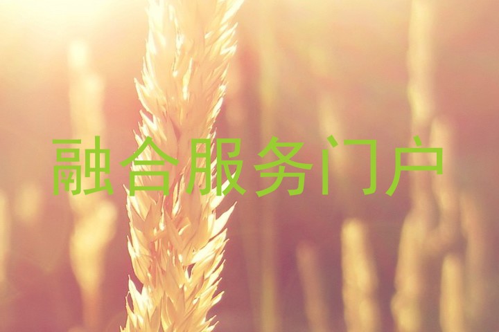 融合服务门户