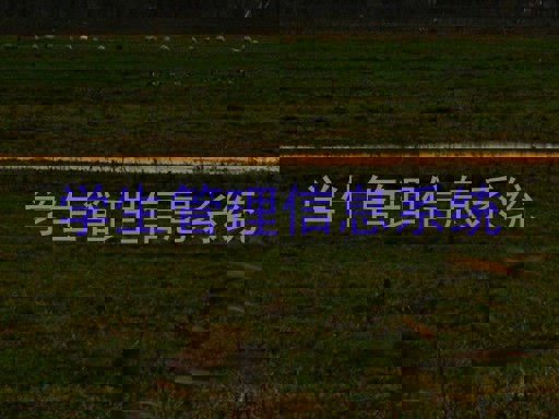 学生管理信息系统
