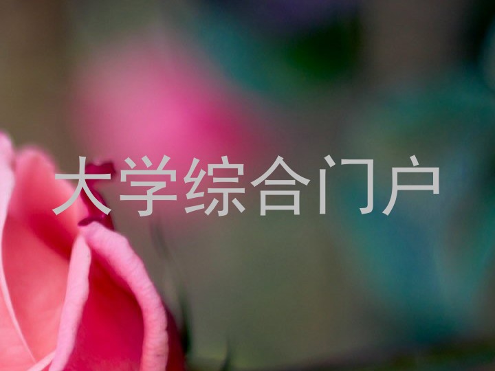 大学综合门户