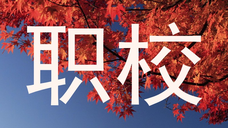 职校