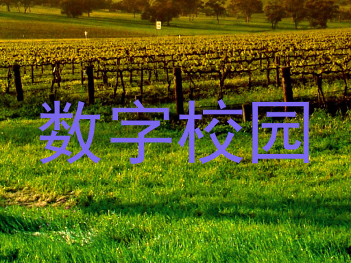 数字校园