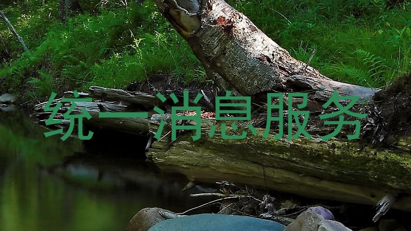 统一消息服务