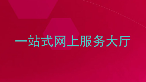 一站式网上服务大厅