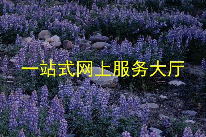 一站式网上服务大厅