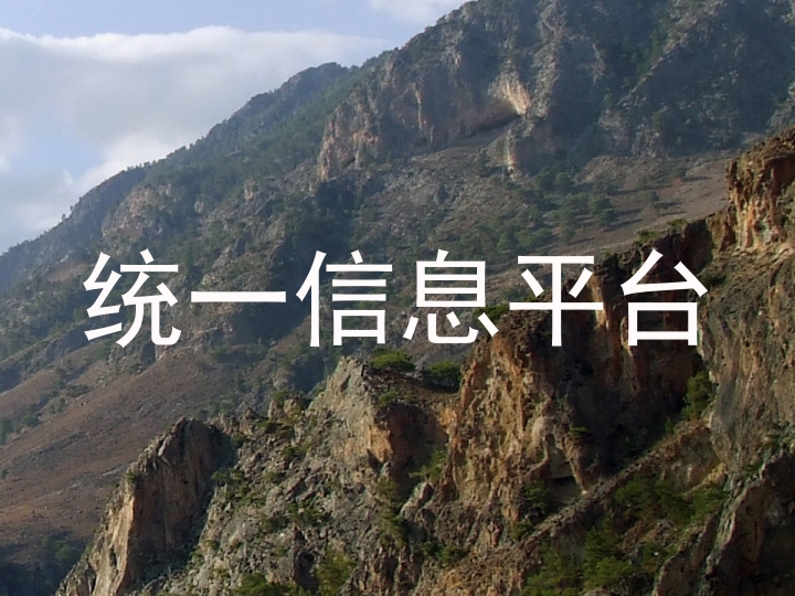 统一信息平台