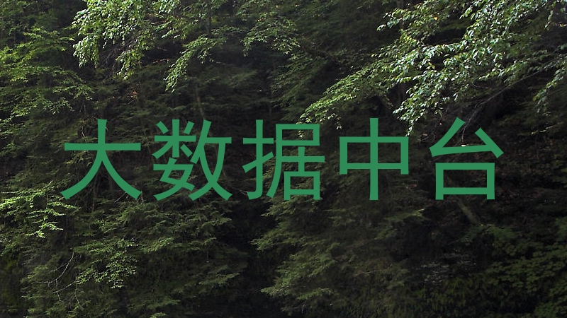 大数据中台