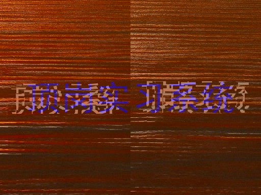 顶岗实习系统