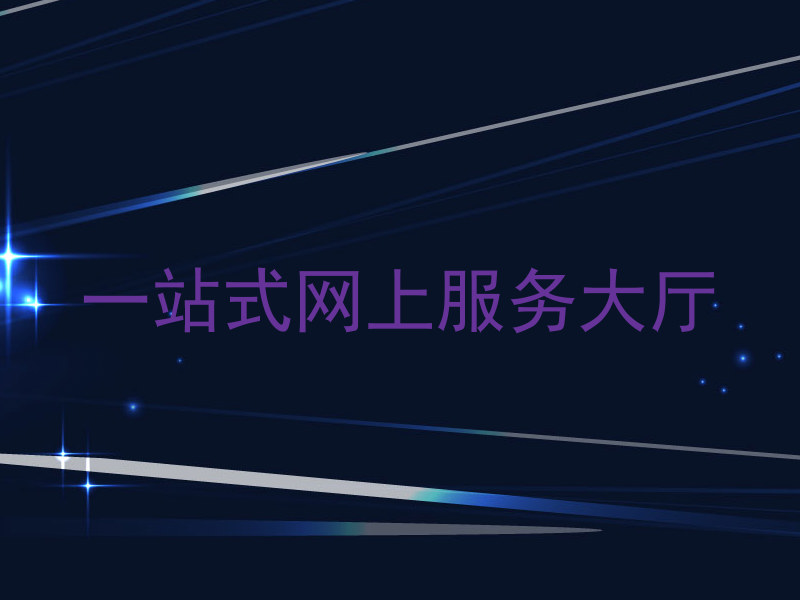 一站式网上服务大厅