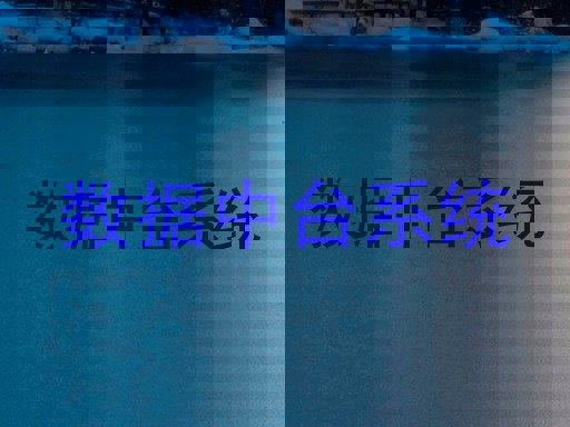 数据中台系统
