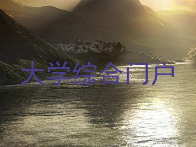大学综合门户
