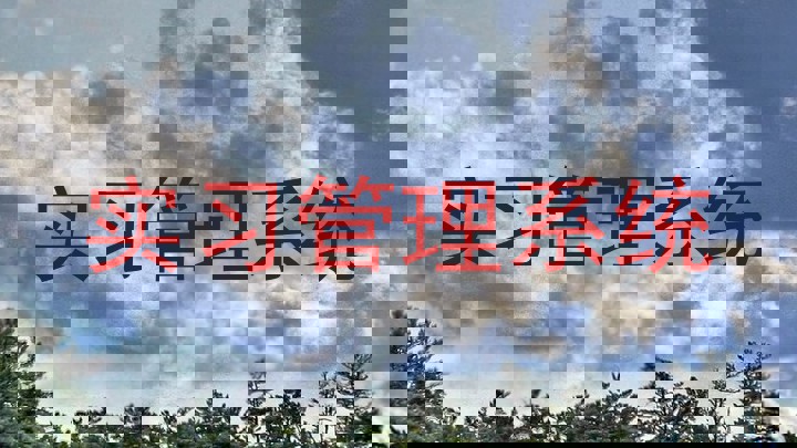 实习管理系统