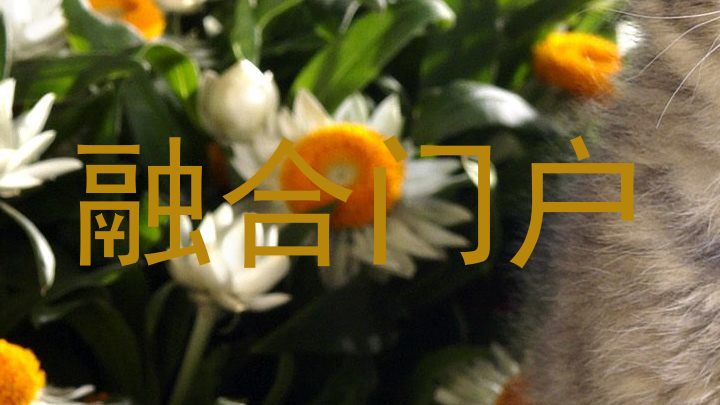 融合门户