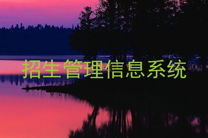 招生管理信息系统