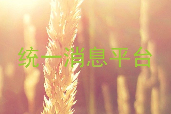 统一消息平台