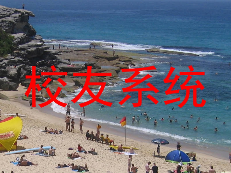 校友系统