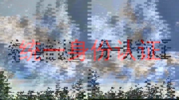 统一身份认证