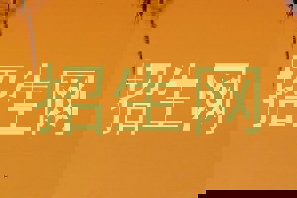 招生网