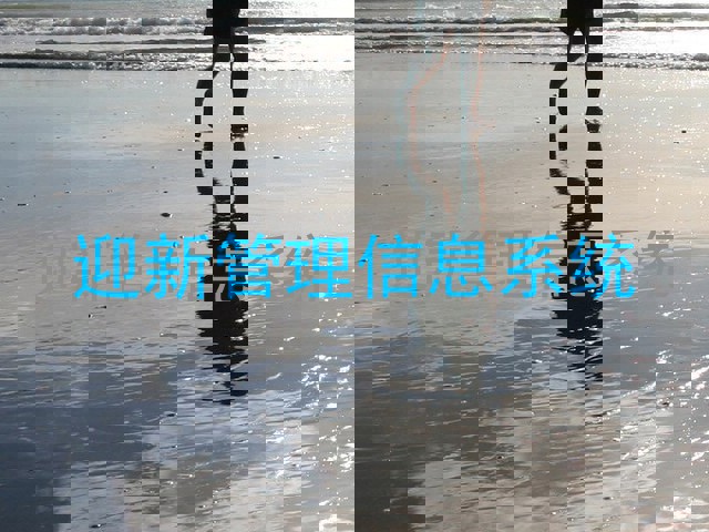 迎新管理信息系统