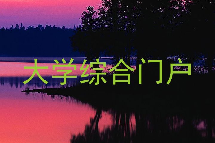 大学综合门户