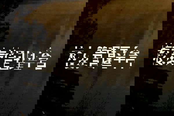 校友管理平台