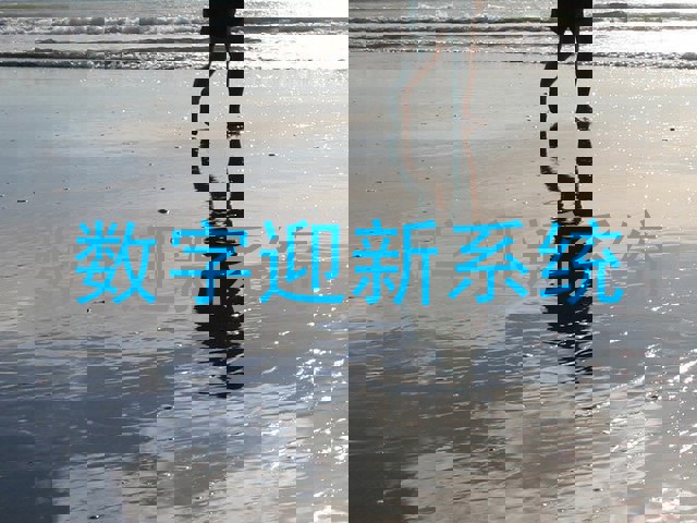 数字迎新系统