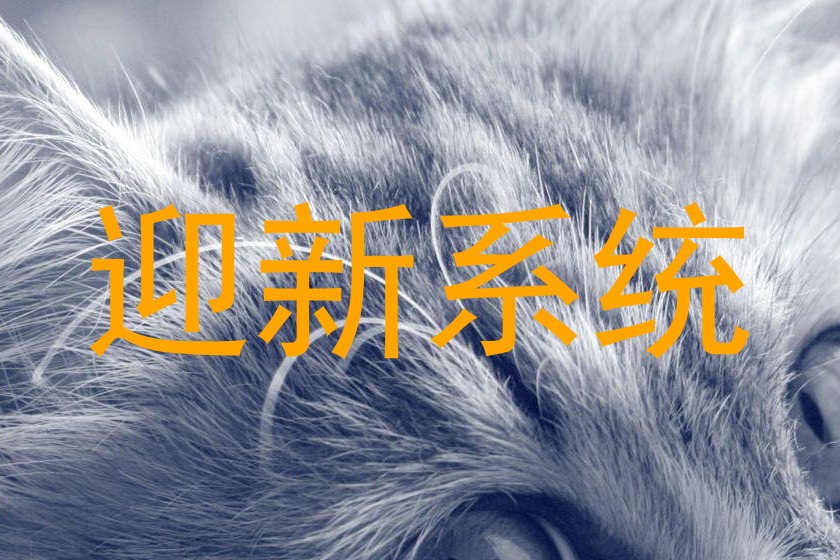 迎新系统