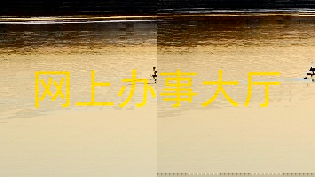 网上办事大厅