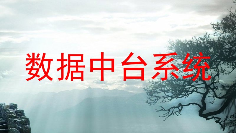 数据中台系统