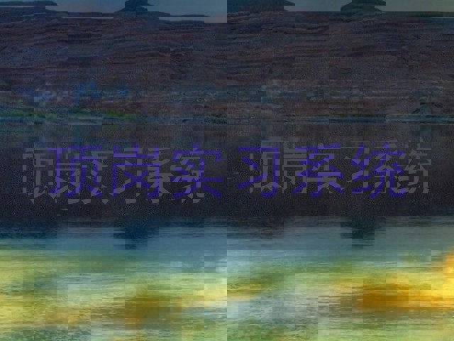 顶岗实习系统