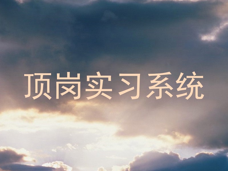 顶岗实习系统