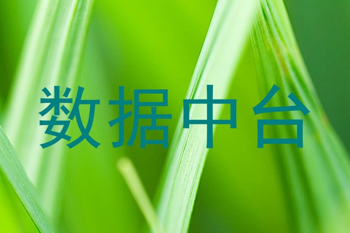 数据中台