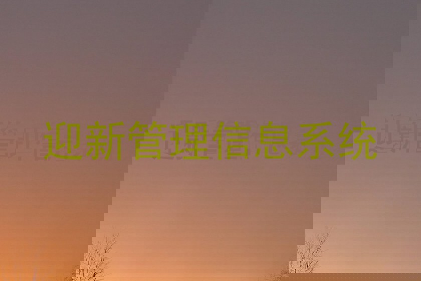 迎新管理信息系统