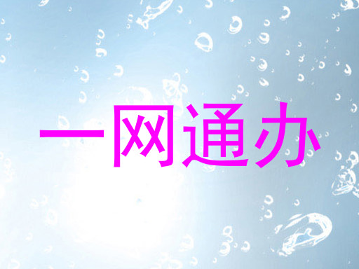 一网通办