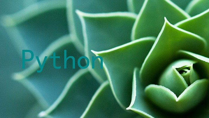 Python