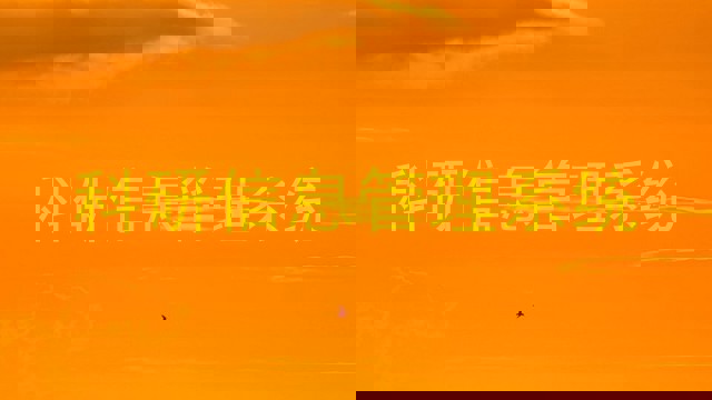 科研信息管理系统